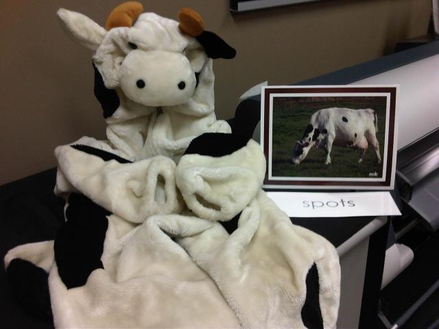 Imaginative & Pretend Play: Cow Costume