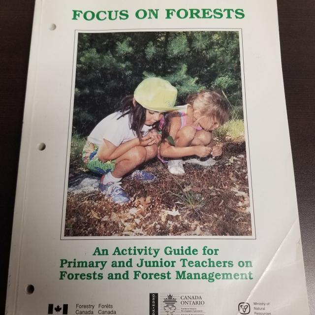 Focus On Forests Primary Junior