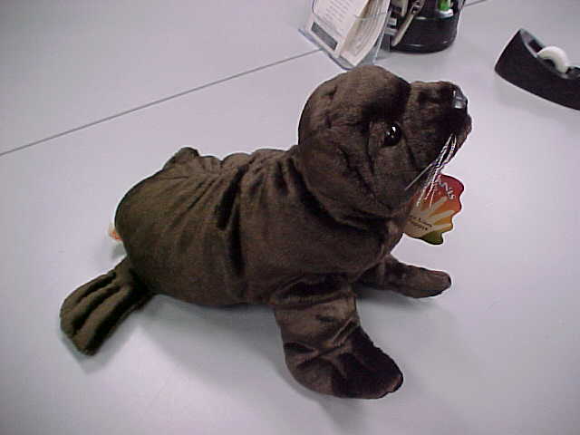 Sea Lion Hand Puppet