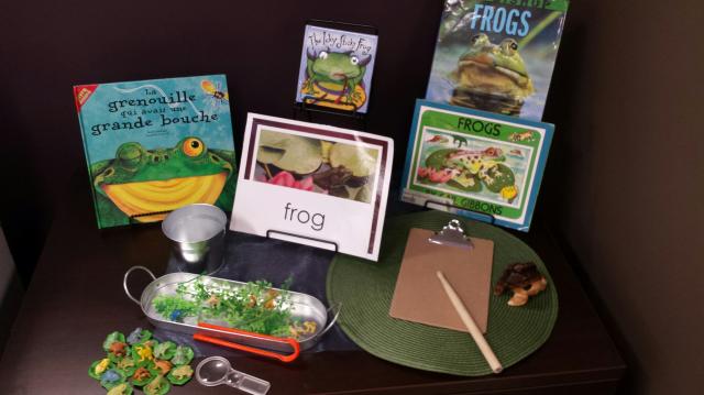 Animal Friends: Children Investigate the Appearance & Habitat of Frogs