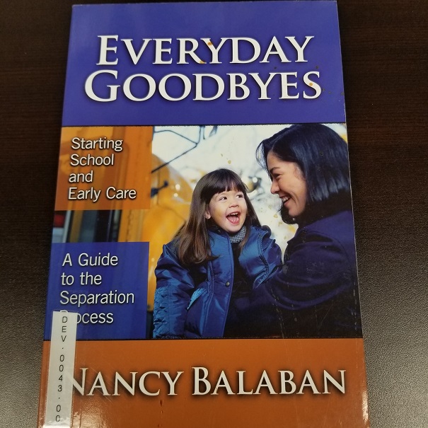 Everyday Goodbyes - A Guide to the Separation Process