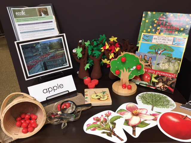 Science Concepts & Natural Wonders:  Children Investigate How Apples Grow in an Apple Orchard