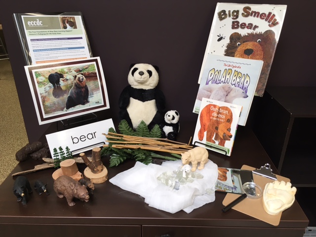 Animal Friends: Types of Bears and Their Habitats
