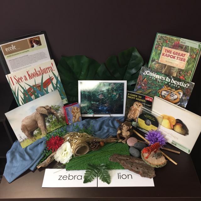 Animal Friends: Loose Parts: Jungle Animals and Their Habitats