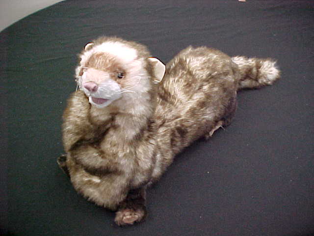 Ferret Hand Puppet