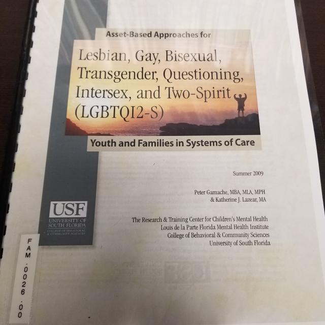 Asset-based Approaches For Lesbian, Gay, Bisexual, Transgender, Questioning, Intersex, And Two-spirit (lgbtqi2-s) Youth And Families In Systems Of Care