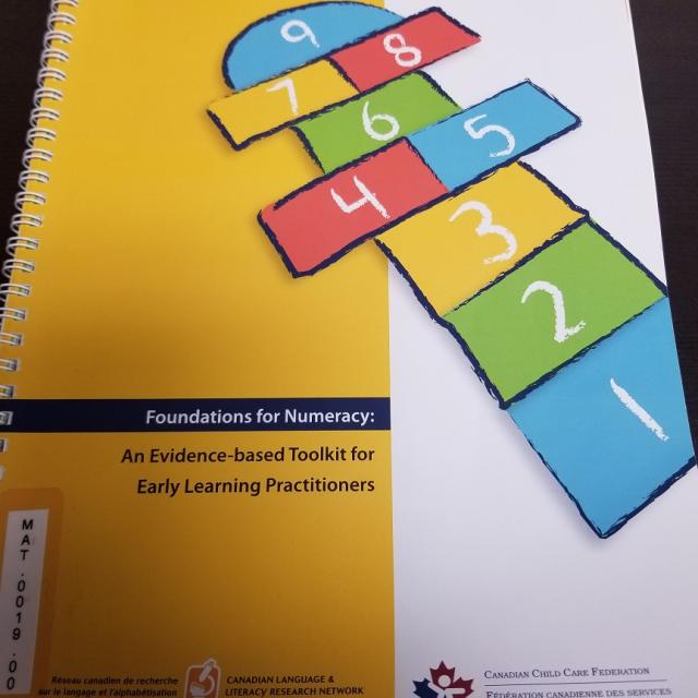 Foundations Of Numeracy:  An Evidence-based Toolkit For Early Learning Practitioners (includes Cd)