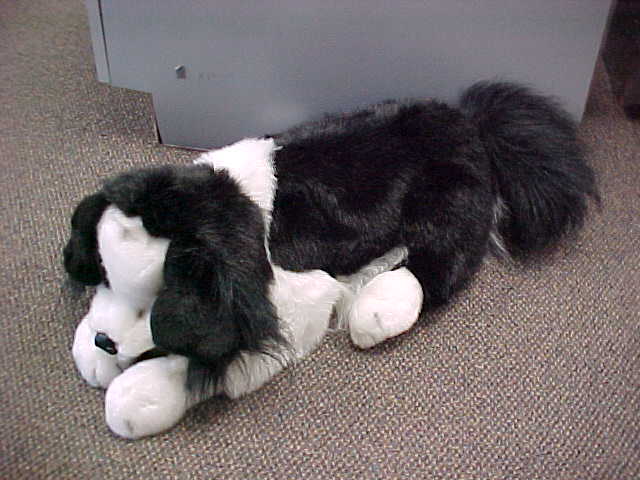 Border Collie Hand Puppet