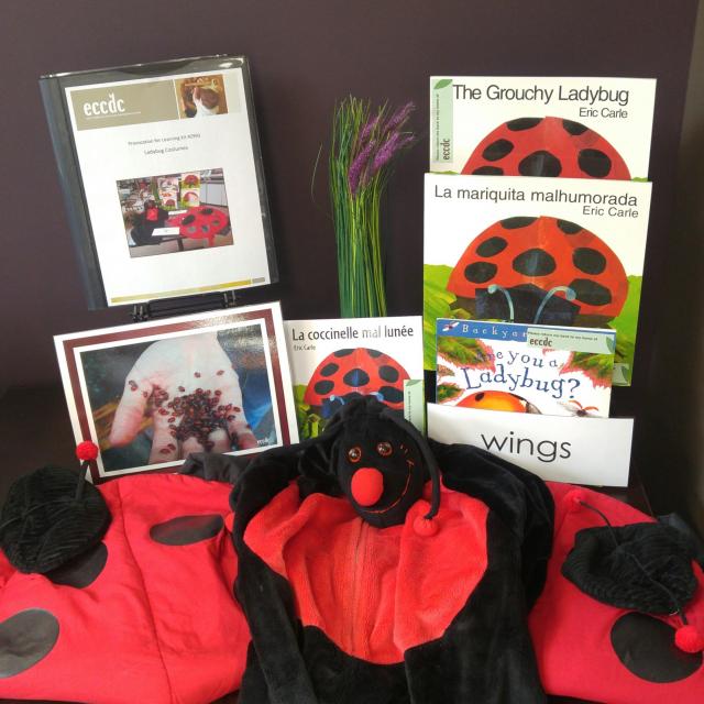 Imaginative and Pretend Play: Ladybug Costumes