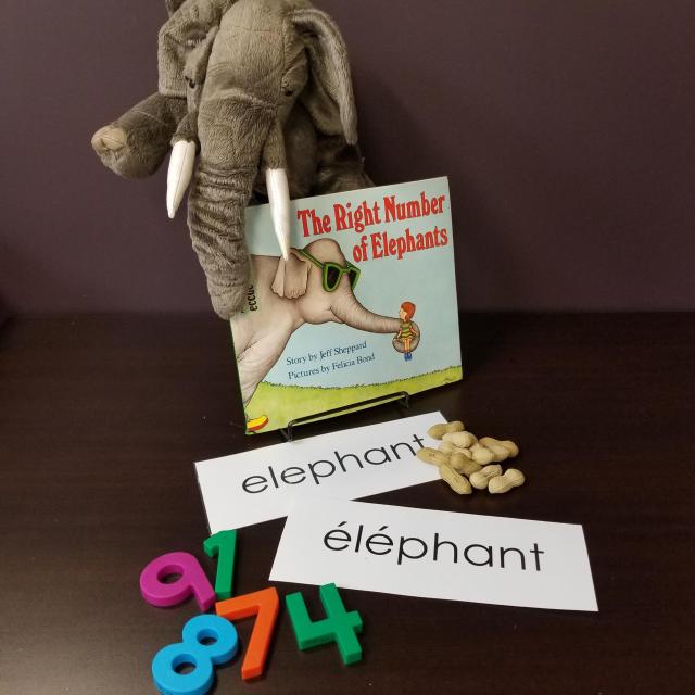 Stories, Poems & Songs: The Right Number Of Elephants Literacy Kit