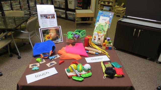 Science Concepts & Natural Wonders: Introducing Infants & Toddlers To Their Five Senses