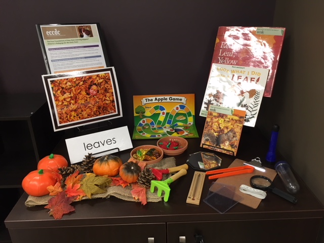 Science Concepts & Natural Wonders: Children Explore Autumn Through Seasonal Activities