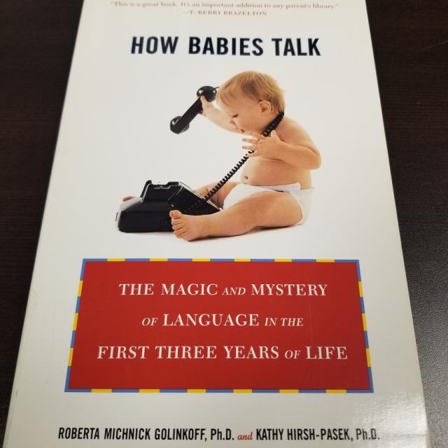 How Babies Talk - The Magic and Mystery of Language in the First Three Years of Life