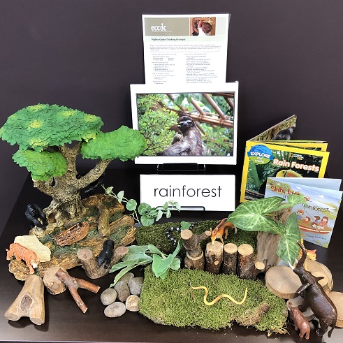 Building, Technology & Block Center Materials:  Rainforest Habitat Building Materials