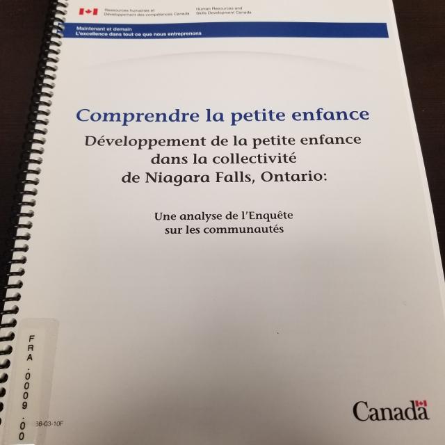 Comprendre la petite enfance:  Dï¿½veloppement de la petite enfance dans la collectivitï¿½ de Niagara Falls, Ontario