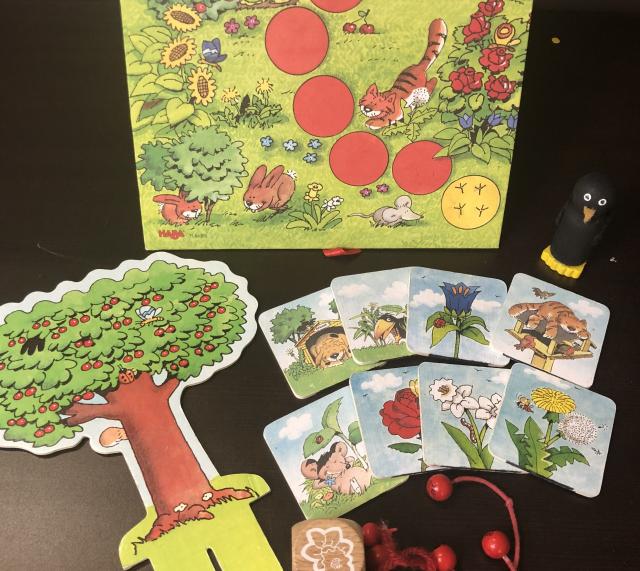 Science Concepts & Natural Wonders: The Little Orchard Co-operative Memory Game