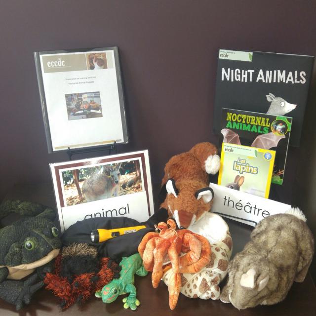 Imaginative & Pretend Play: Nocturnal Animal Puppets