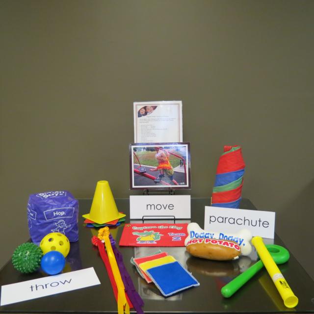 Active Play Equipment: Unique Active Play Equipment
