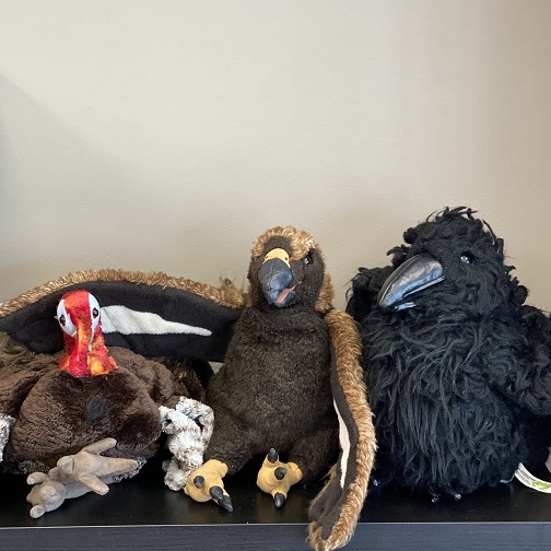 Imaginative & Pretend Play: Feathered Friends Hand Puppets