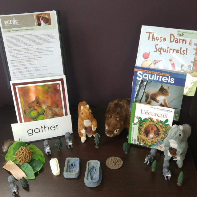 Animal Friends: Children Explore the Characteristics of Squirrels