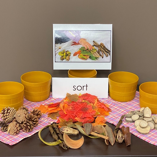 Mastering Math Collection:  Sorting with Natural Materials