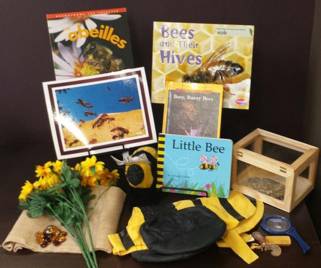 Incredible Insects: Children Explore the Characteristics of Bees