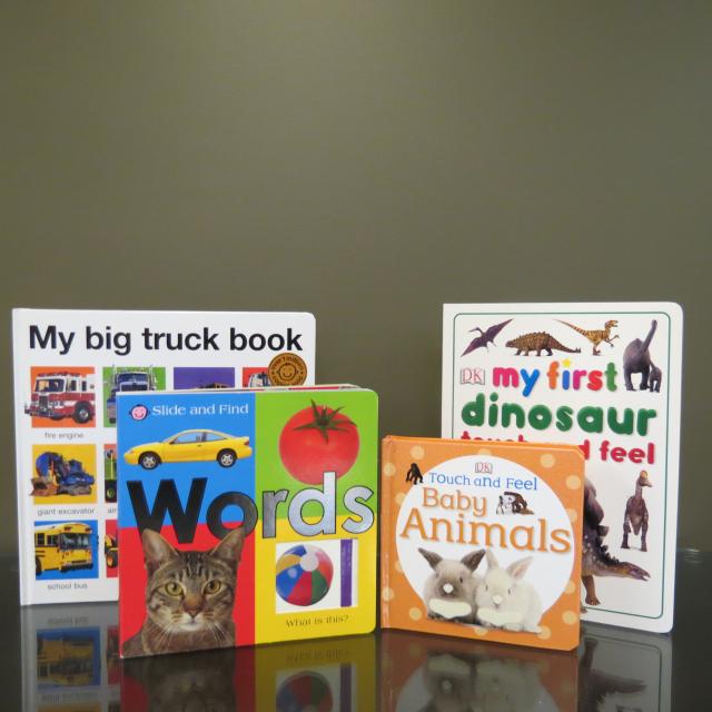 Resource Consultant Specialized Materials: Assorted Picture Books