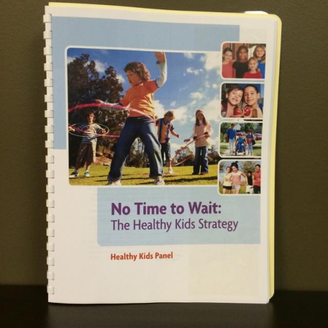 No Time to Wait:  The Healthy Kids Strategy