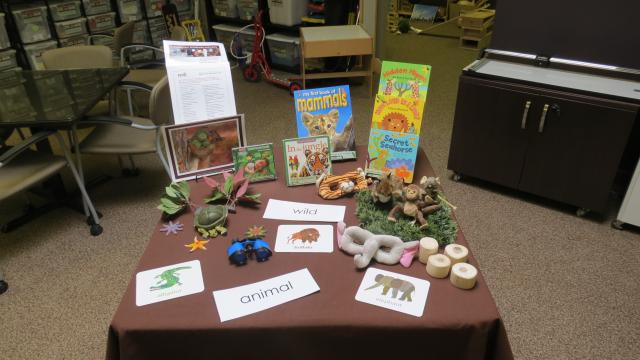 Science Concepts & Natural Wonders: Toddlers Explore the Characteristics and Habitats of Wild Animals