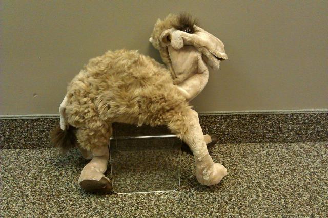 Camel Hand Puppet