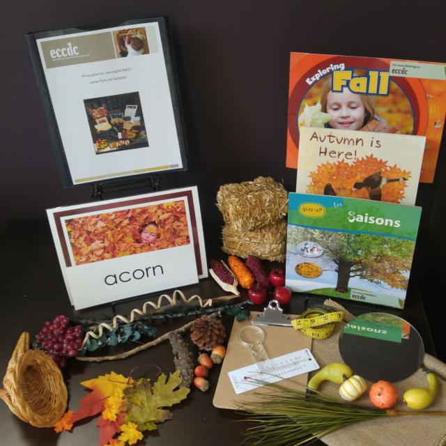 Building, Technology & Block Center Materials: Loose Parts for Autumn