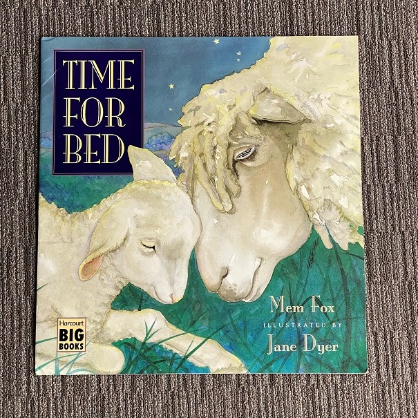 Time For Bed Big Book