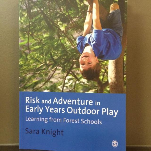 Risk and Adventure in Early Years Outdoor Play - Learning from Forest Schools