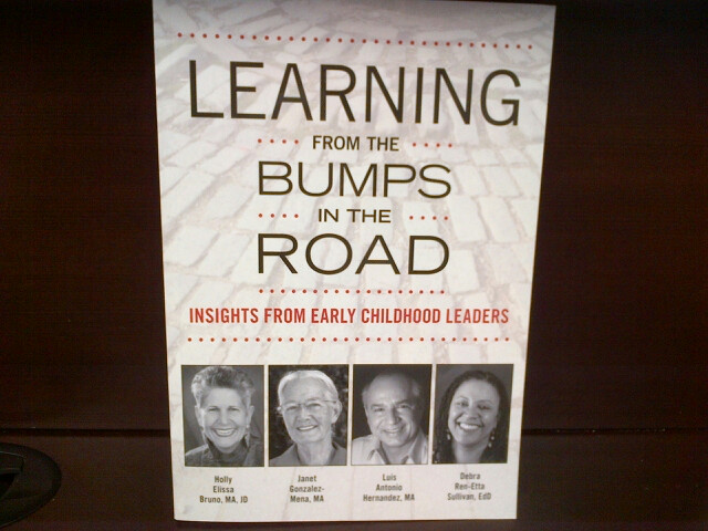 Learning From the Bumps in the Road: Insights From Early Childhood Leaders  
