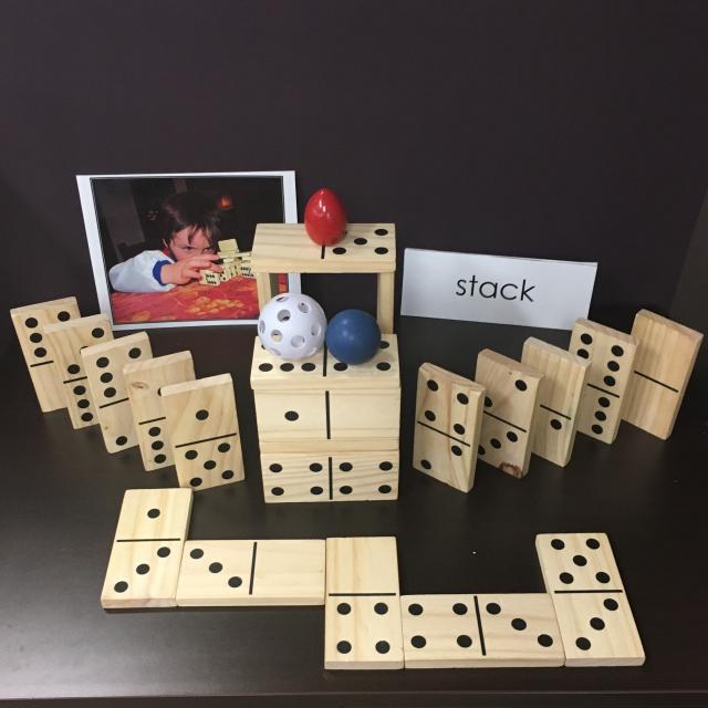 Mastering Math Collection: Wooden Dominoes and Accessories 