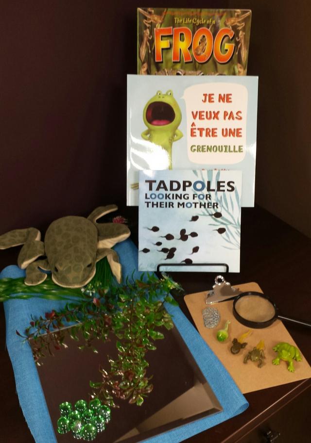 Science Concepts & Natural Wonders: Children Explore the Life Cycles of Frogs