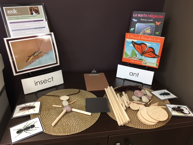 Building, Technology & Block Centre Materials:  Build- A-Bug with Natural Loose Parts