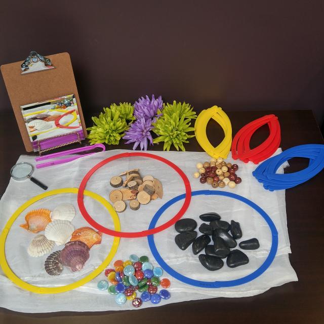 Mastering Math Collection: Sorting with Natural Materials 