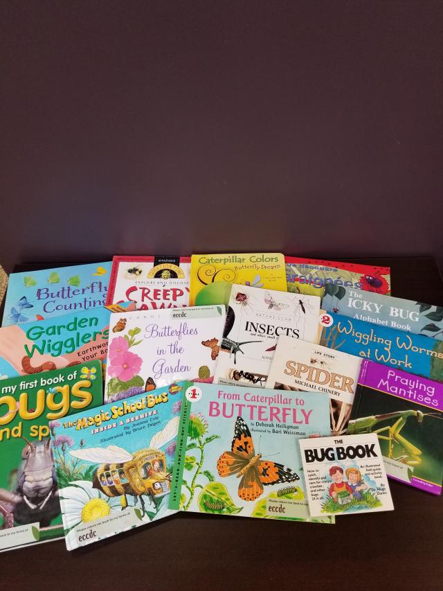 Incredible Insects: School-Age Literature About Bugs