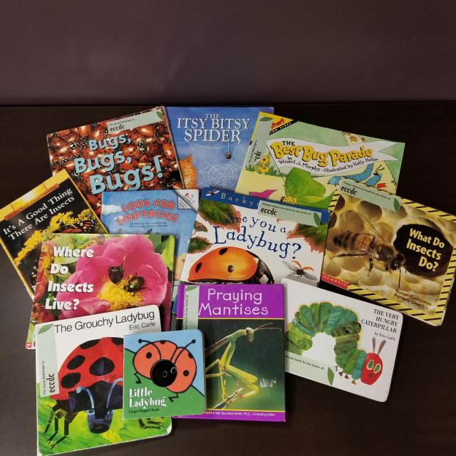 Preschool Literature About Bugs