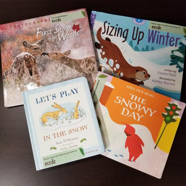 Science Concepts & Natural Wonders: School-Age Literature About Winter