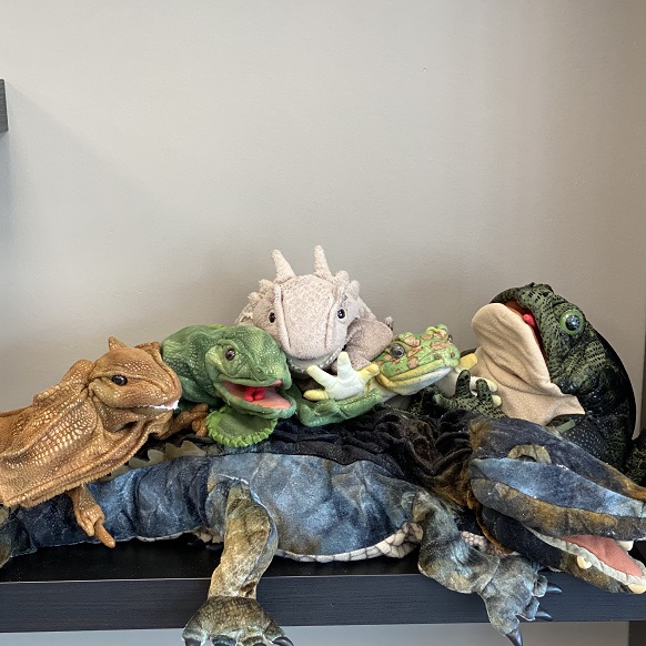 Imaginative and Pretend Play: Reptile and Amphibian Hand Puppets