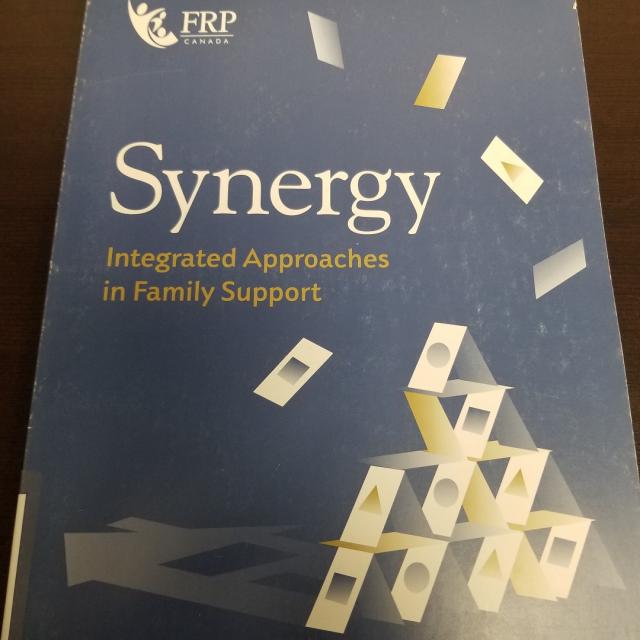 Synergy: Integrated Approaches In Family Support