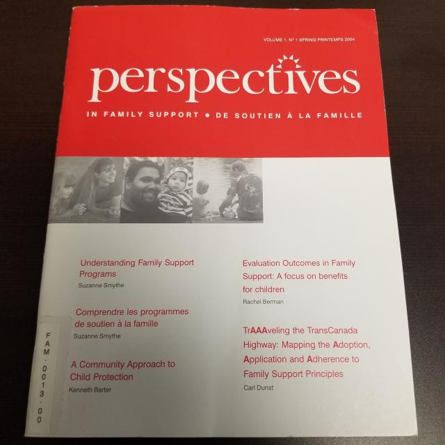 Perspectives In Family Support