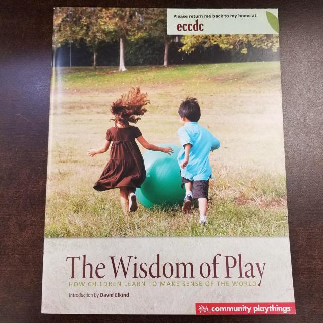 The Wisdom of Play: How Children Learn to Make Sense of the World