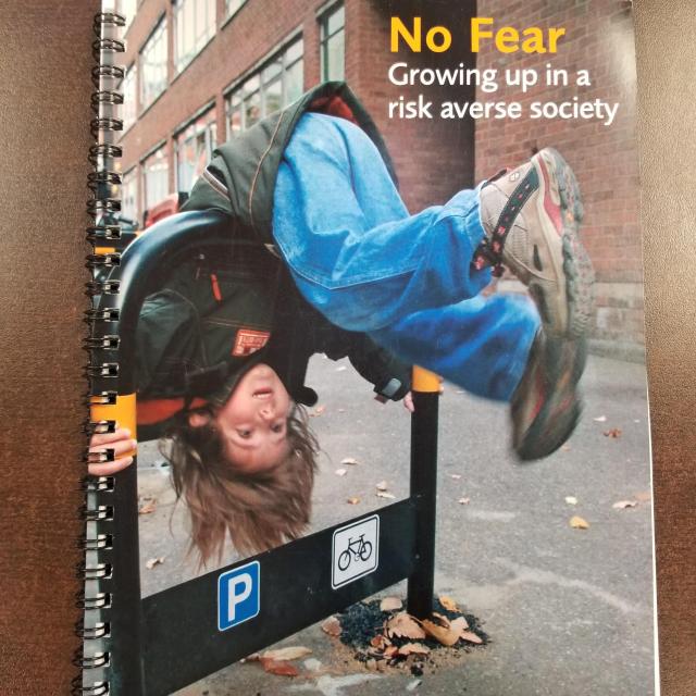 No Fear: Growing Up in a Risk Averse Society