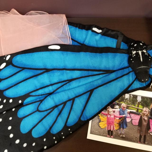 Imaginative and Pretend Play: Butterfly Costume 