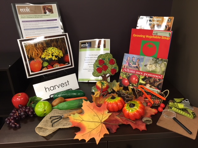 Science Concepts & Natural Wonders: Autumn Fruits and Vegetables and How They are Harvested