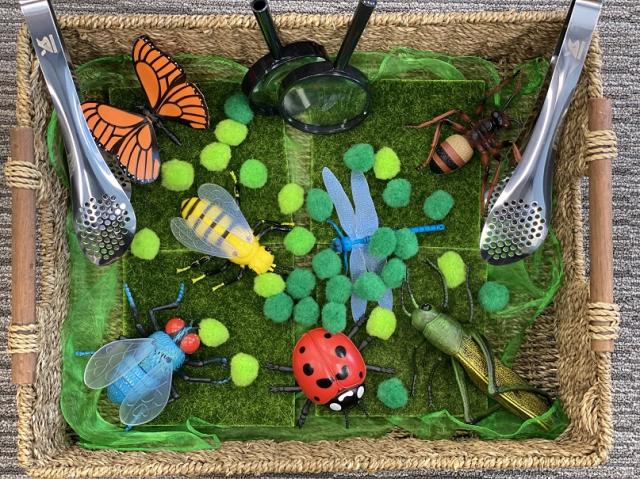 Sensory Resources:  Infants & Toddlers Explore Insects through Sensory Play