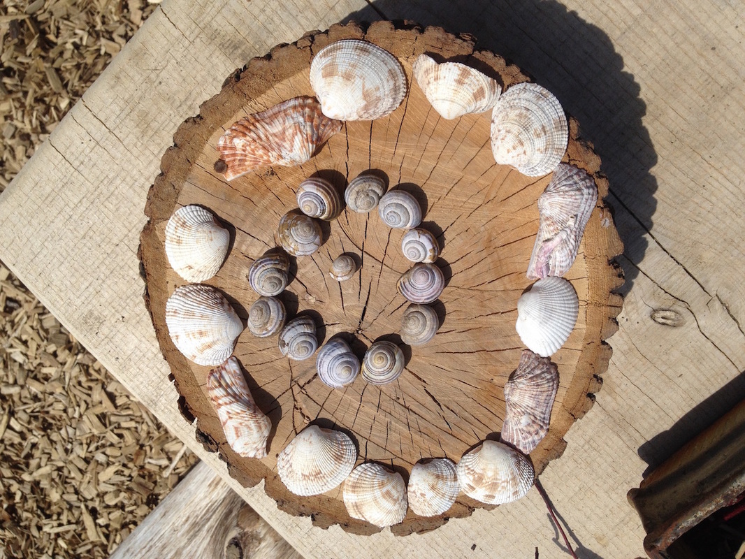 Customized Training and Mentoring Services